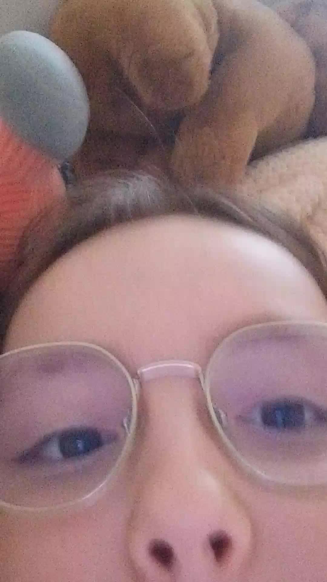 моя кошка