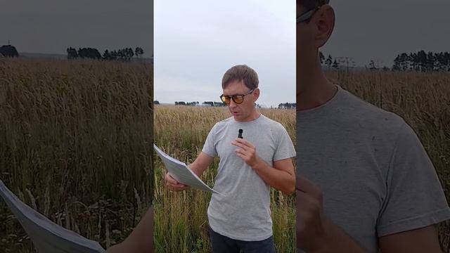 Новости с полей. Оформляем земли . Показываем с чем сталкиваемся