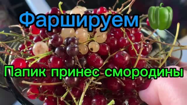 Фаршируем перцы! Папик принес смородину!👍😘