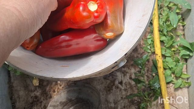 Заготовки, заготовки, заготовки. Не кончаются.