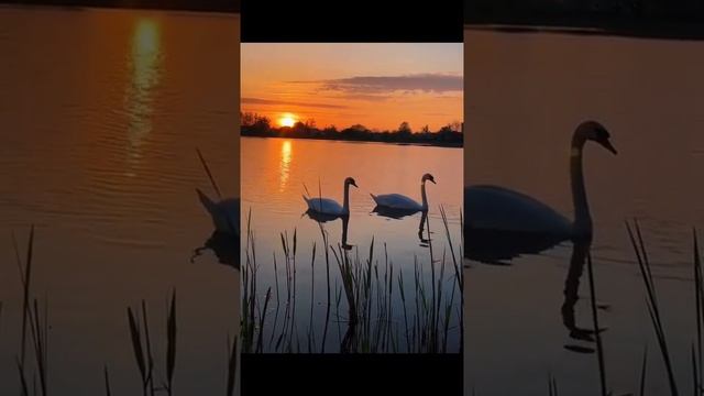 для души