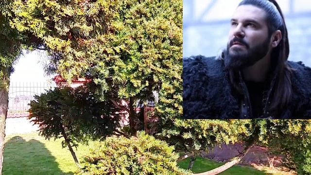 Барбароссы 51 серия на русском языке. Обзор