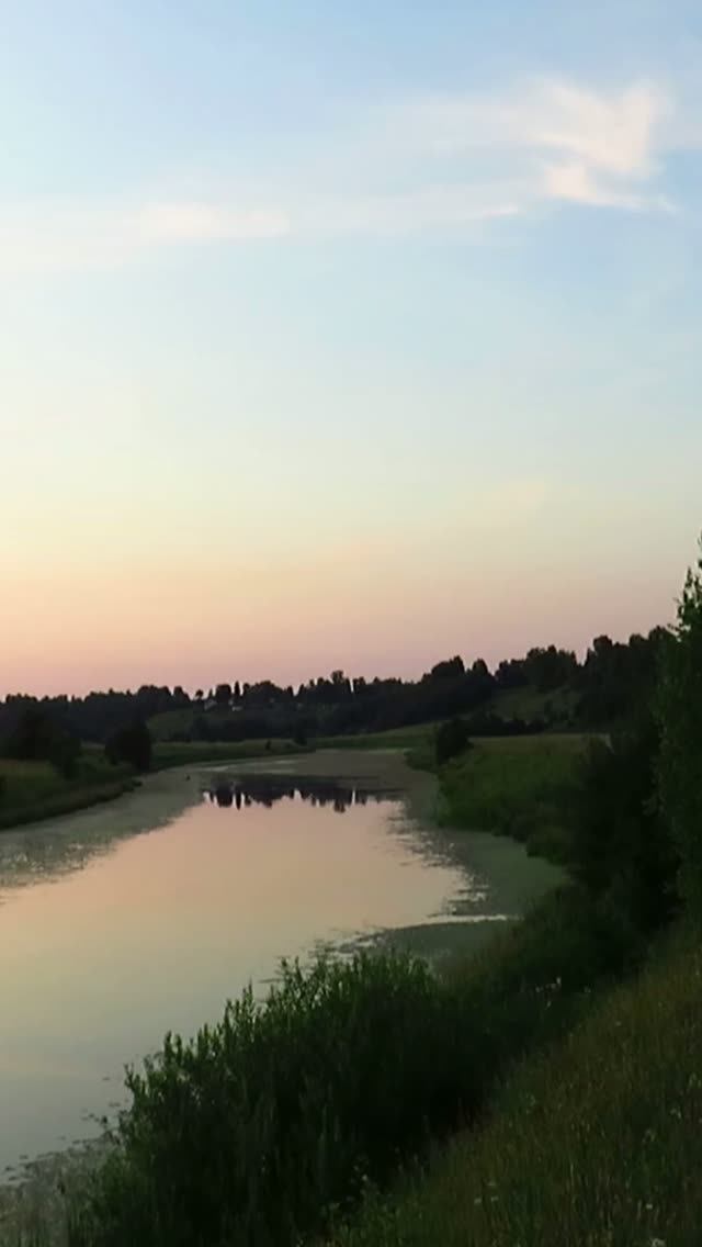 Закат в глухом лесу.