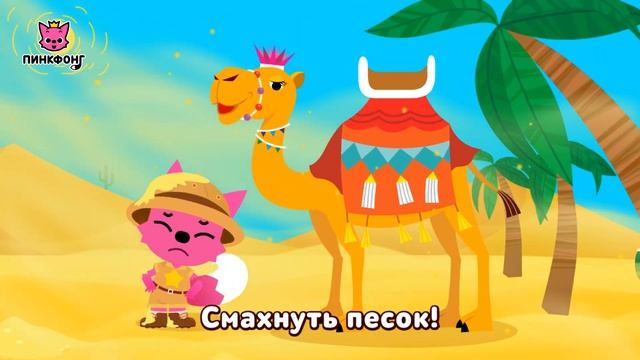 Верблюд — Вьючно-Вьючные Верблюды  | Песни про Животных | Пинкфонг Песни для Детей
