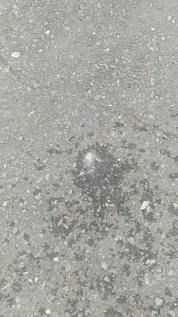 часть 1 на севере