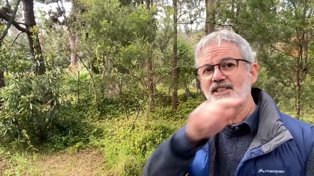 Перспективные Видеоролики, Которые Вам Никогда Не Помогут!