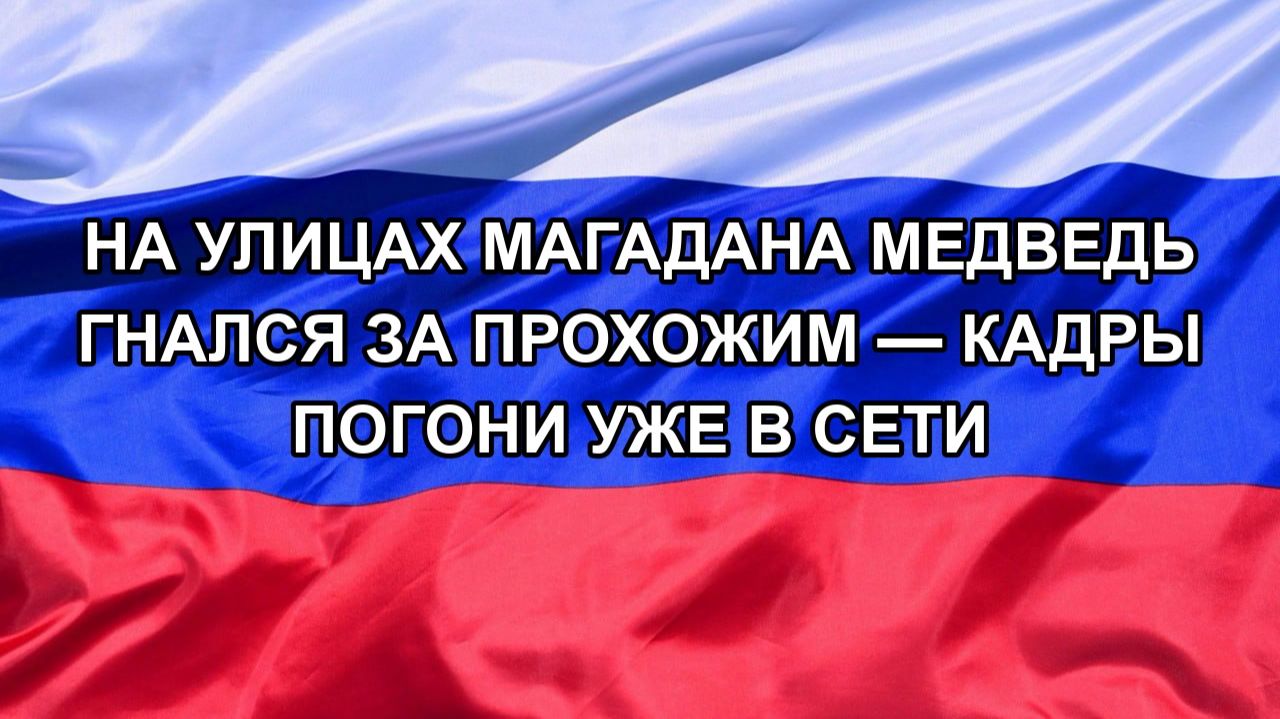 На улицах Магадана медведь гнался за прохожим — кадры погони уже в сети