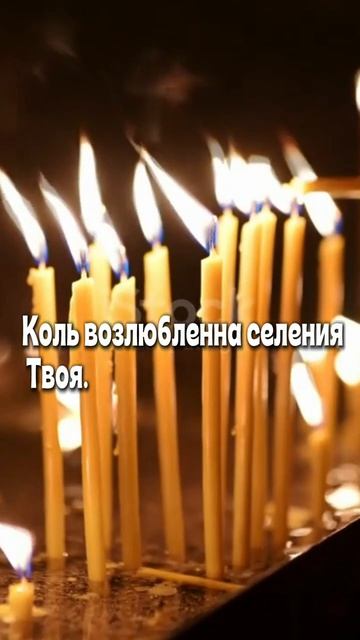 🗓️ «КАКИЕ ПСАЛМЫ ЧИТАТЬ В 2026 ГОДУ» 3 псалма для твоего будущего