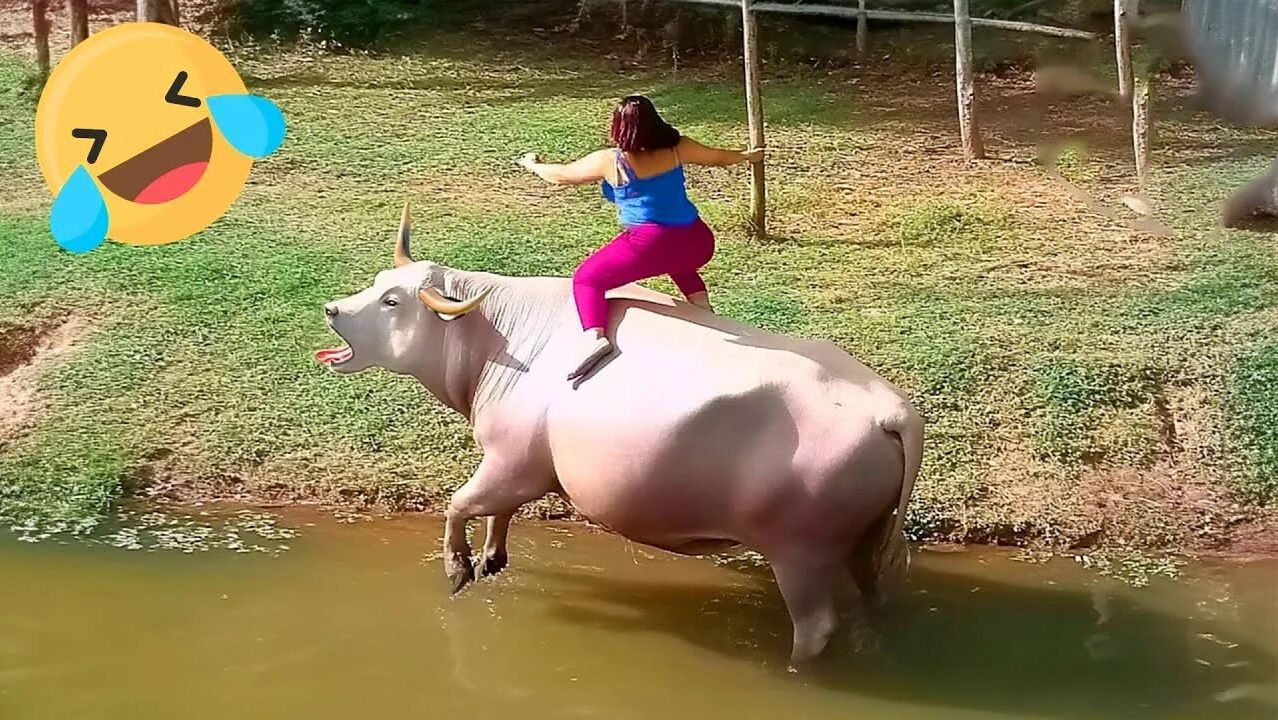 ПОПРОБУЙ НЕ РАССМЕЯТЬСЯ 😆 Подборка лучших смешных видео 😂😁😆 Мемы