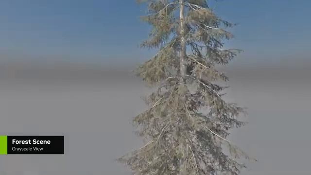 Advances In Path Tracing: New NVIDIA RTX Mega Geometry Foliage System