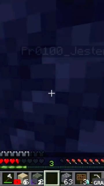 Minecraft Лучшее #1634