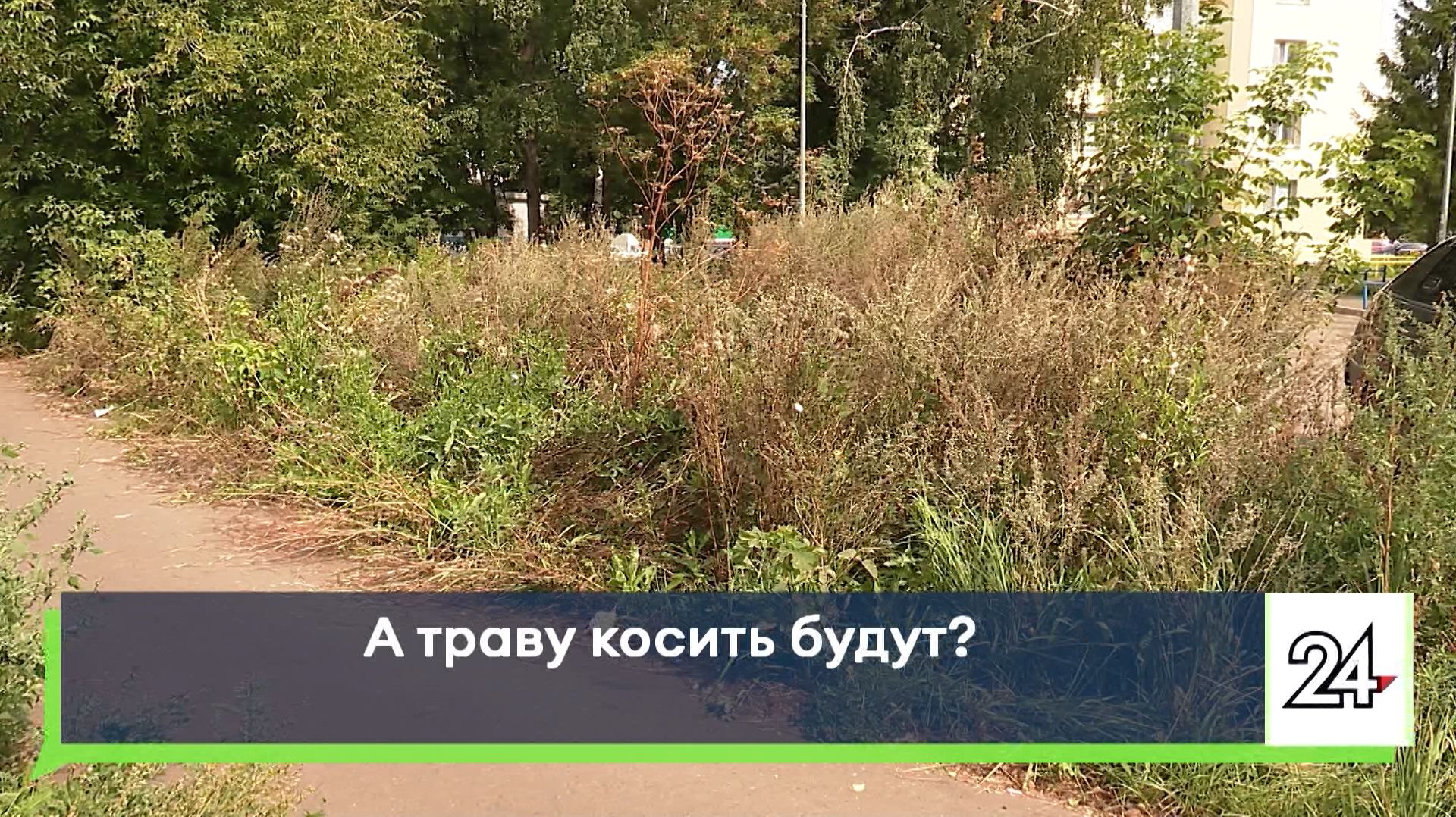 А траву косить будут?