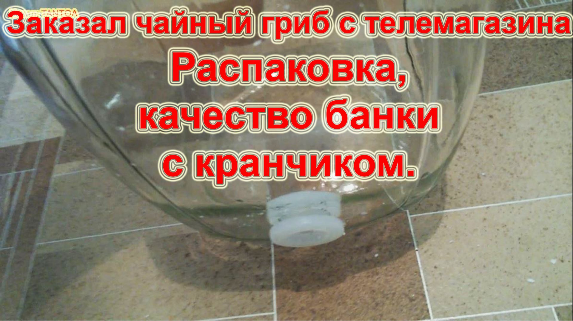 Заказал чайный гриб от Leomax | Распаковка посылки | Качество банки с краном | Как вырастить гриб