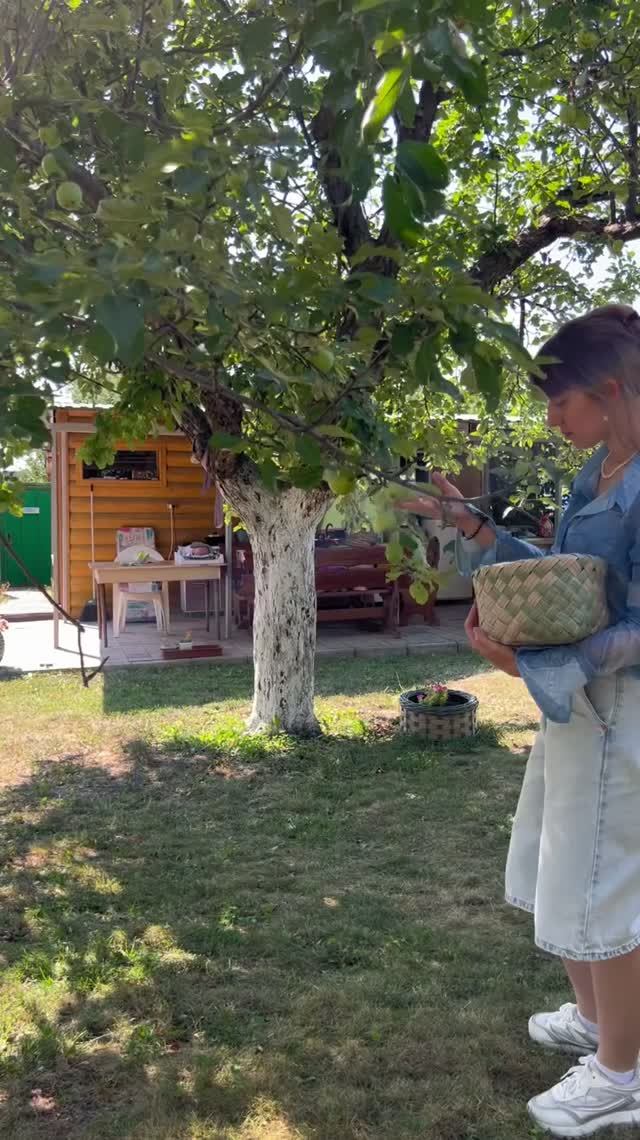 Лукошко уже пошло в дело😁