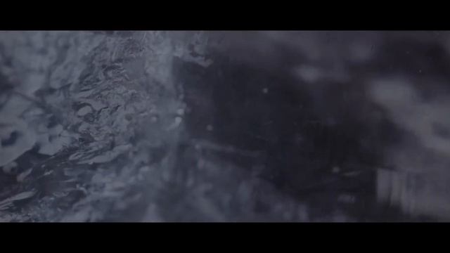 WOLVES IN THE THRONE ROOM   Beholden To Clan Official Visualizer