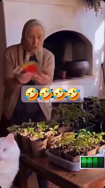 Дачный сезон продолжается