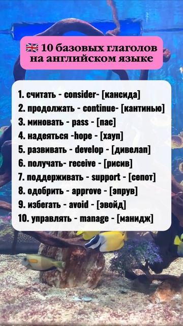 Запомни эти 10 глаголов на английском языке