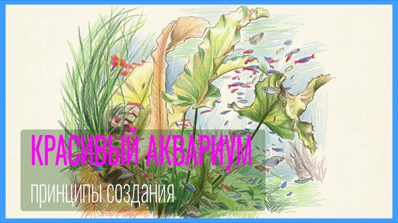 Аквариумные растения