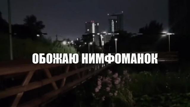 Музыычка подъехала