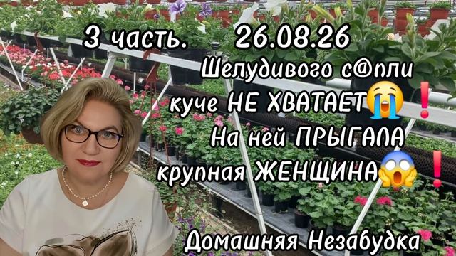 3 часть. ШЕЛУДИВОГО с@пли куче МАЛО❗️На ней прыгала крупная ЖЕНЩИНА 😱❗️