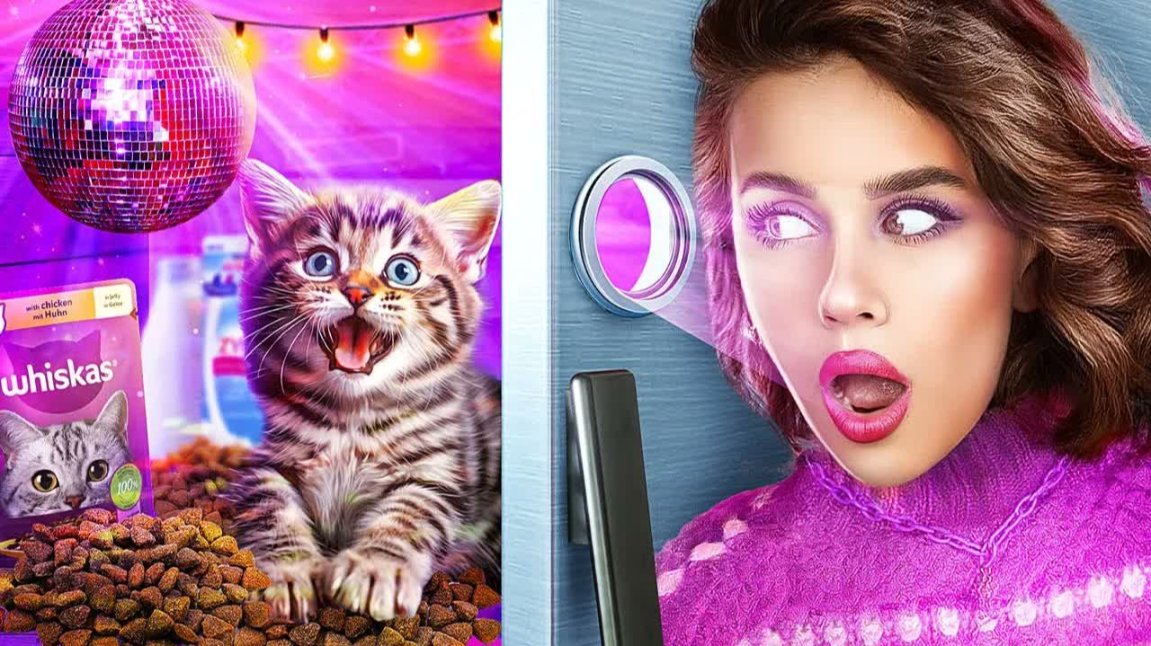Построила секретную комнату чтобы спрятать кота от родителей!