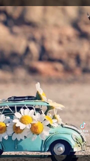 Доброе всем утро ☕🍩, хорошего дня 💐🤗❤️👋