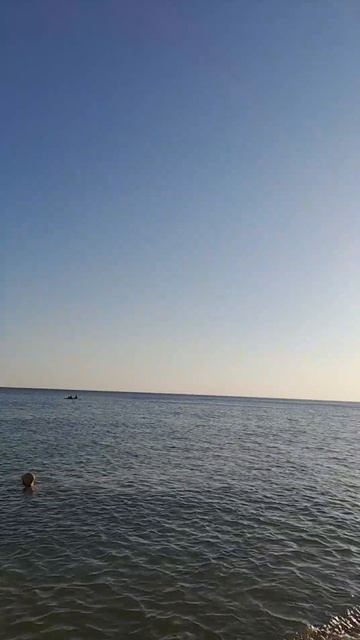 ДЖУБГА Молчанова пляж 26.08.2026