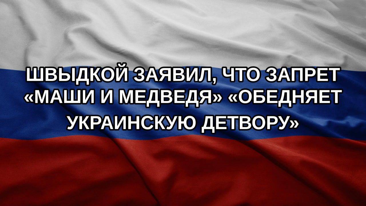 Швыдкой заявил, что запрет «Маши и Медведя» «обедняет украинскую детвору»
