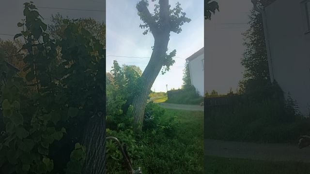 Лёгкие постукивания