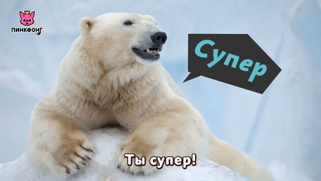 Белый Медведь — Бе-Бе-Белый Медведь | Песни про Животных | Пинкфонг Песни для Детей