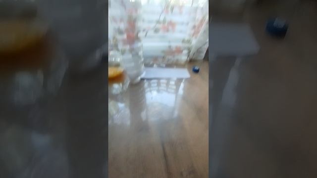 влог у Насти