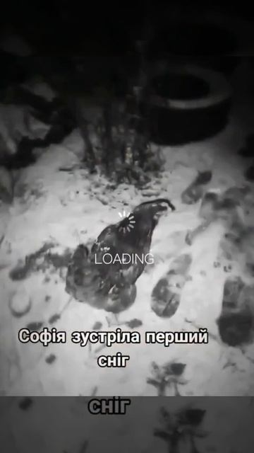 не знаю что писать