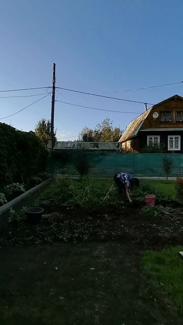 Собираю картоху😅