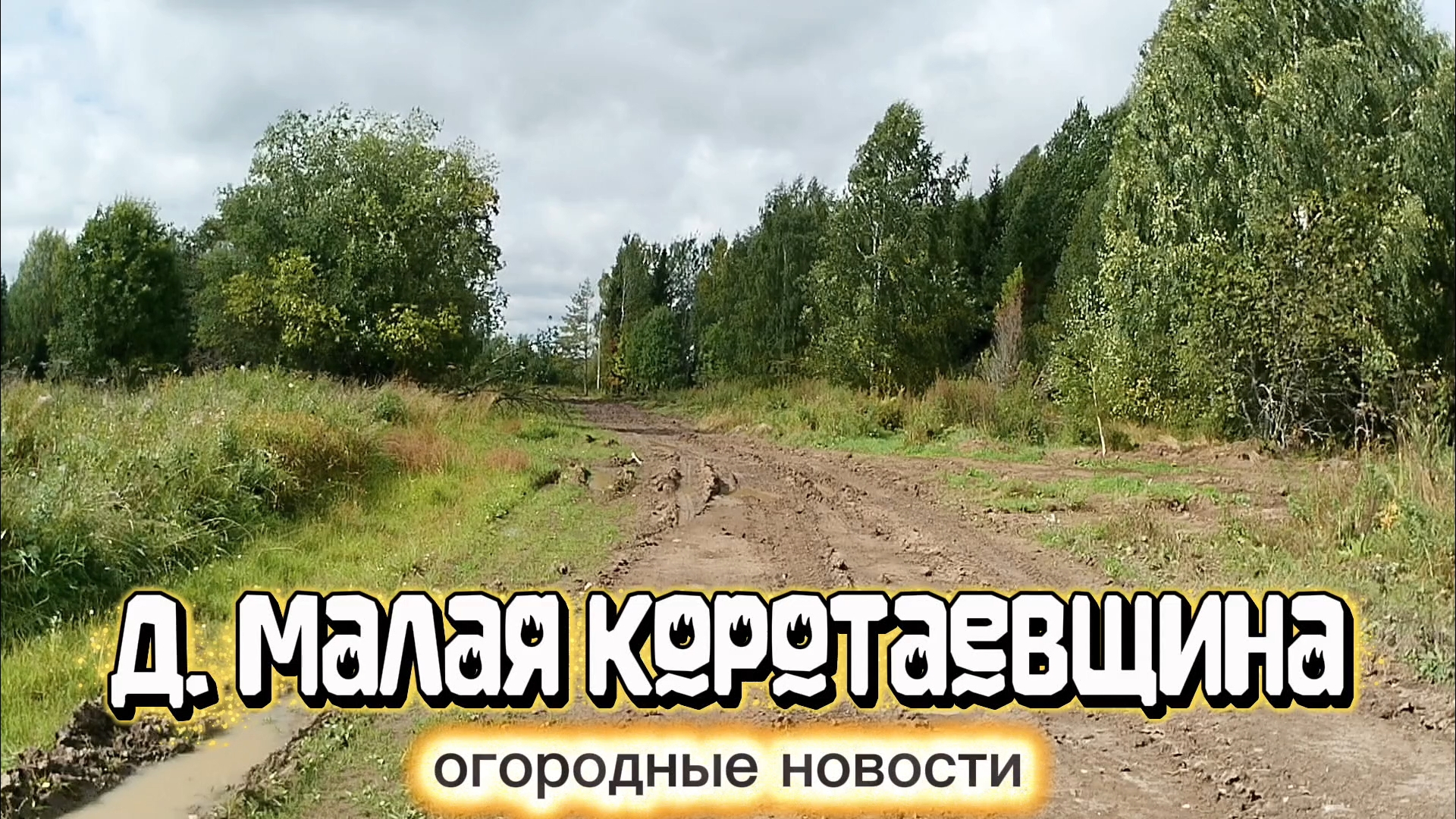 Деревня Малая Коротаевщина, огородные новости
