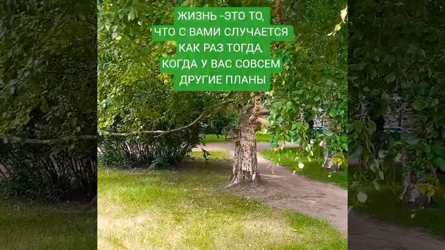 23536.mp4