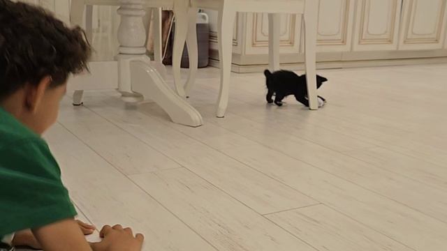 Хроники нашей Нарнии🙂