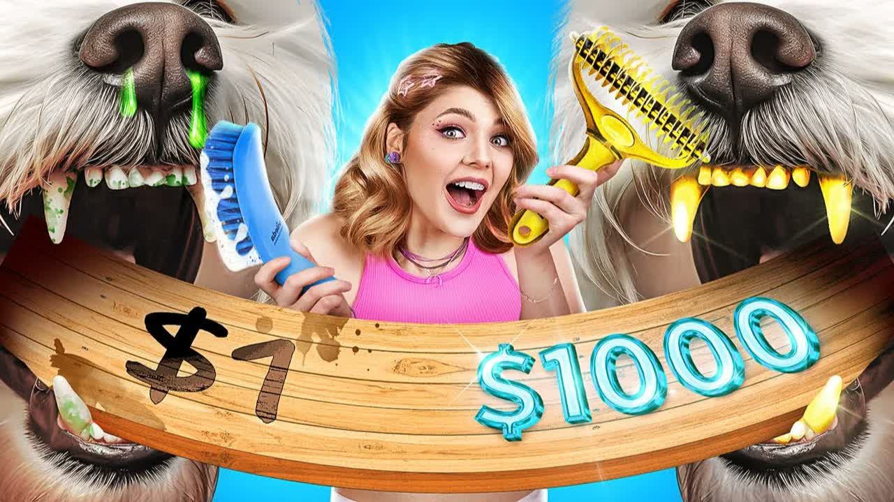 Тестируем 100 полезных гаджетов для животных!
