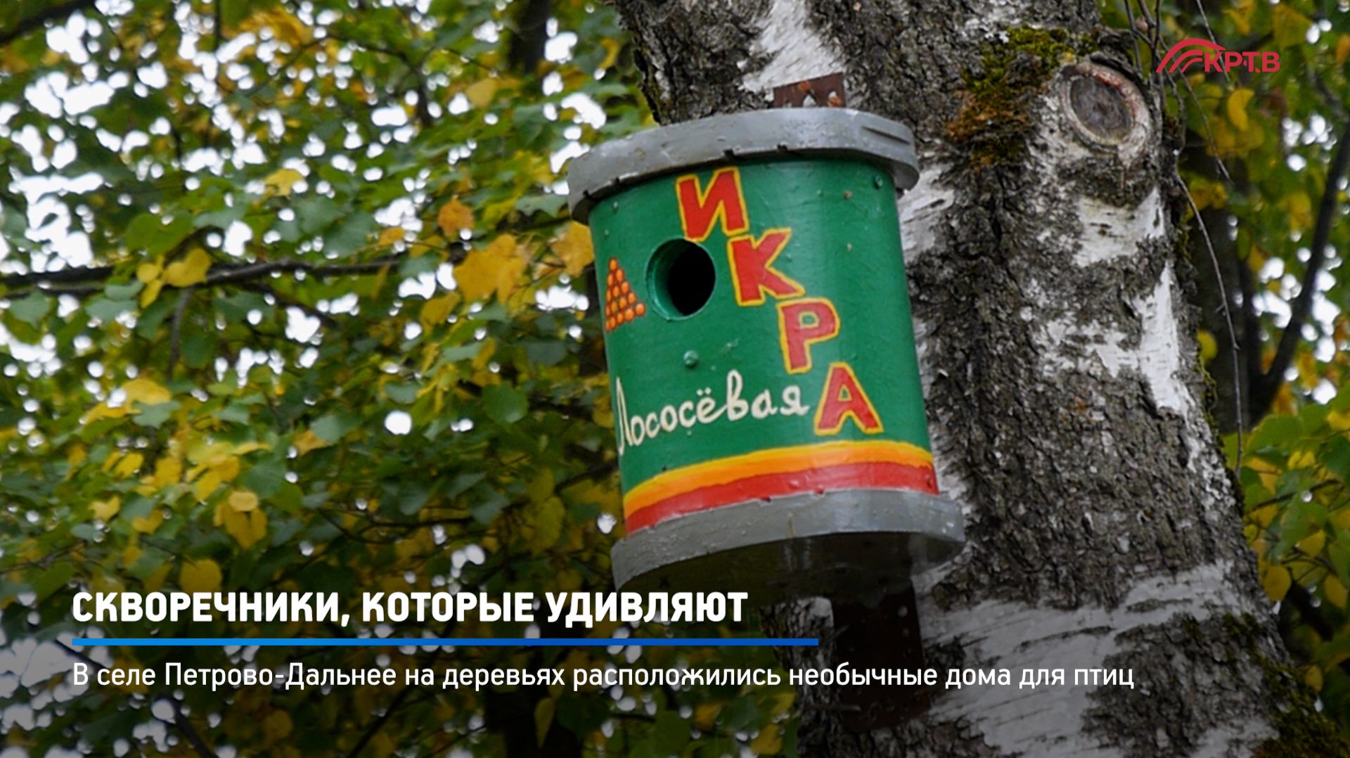 КРТВ. Скворечники, которые удивляют