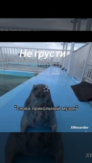 😁😁😁