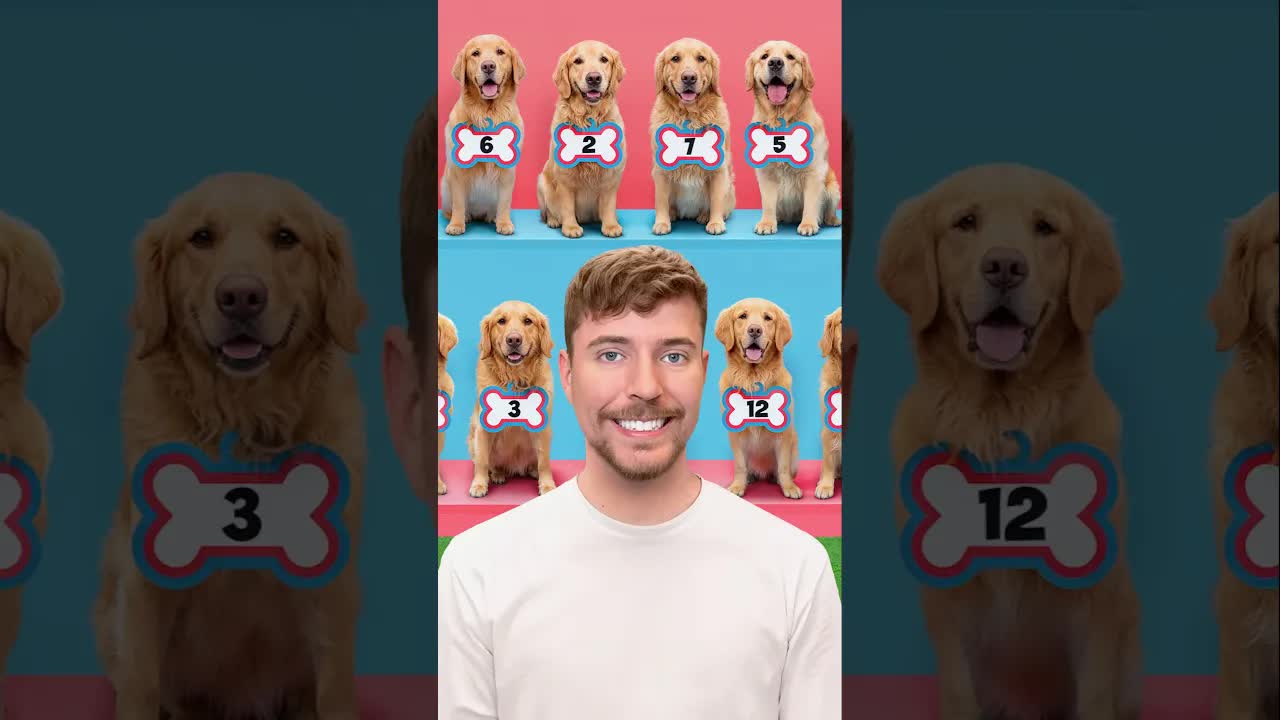 Найди Свою Собаку, Выиграй $10,000 (Мистер Бист | Mr. Beast | Mr.Beast)