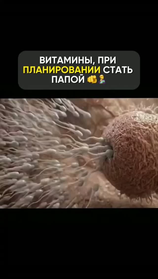 База для будущего папы. Смотри описание 👇