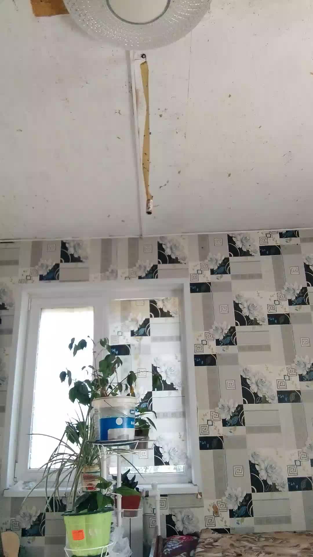 важный день