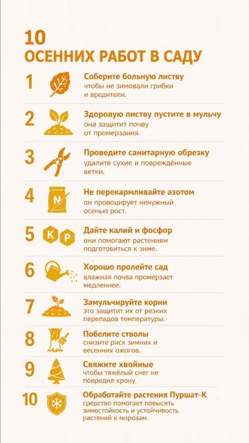 🍂 10 Осенних работ в саду. #пуршат #заморозки #сад #дача #растения