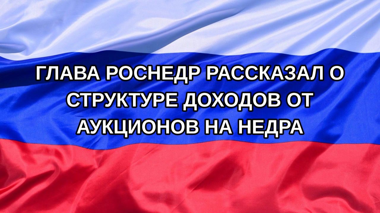 |Н. РФ| Глава Роснедр рассказал о структуре доходов от аукционов на недра