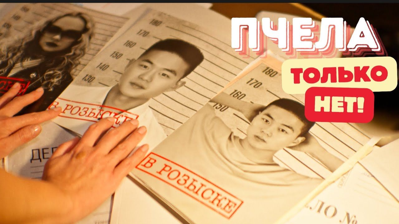 Пчела - Только нет! Вечер который обещал вернуть любовь оказался обманчивым