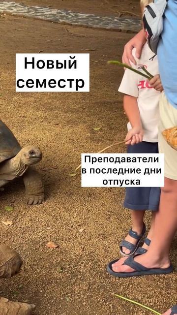 Все готовы? 😏#Саратов #юристы #преподаватель #юмор #скетчи