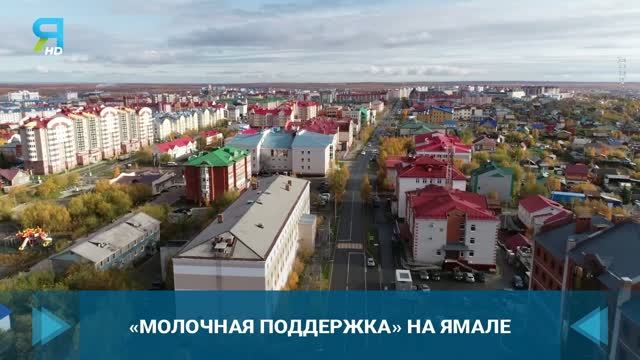 Пример клиентоцентричной практики: электронный сертификат вместо молочной кухни
