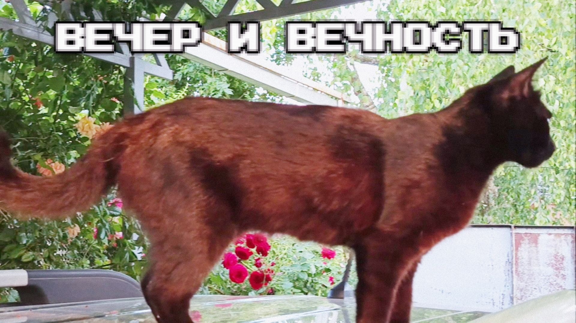 Вечер и вечность