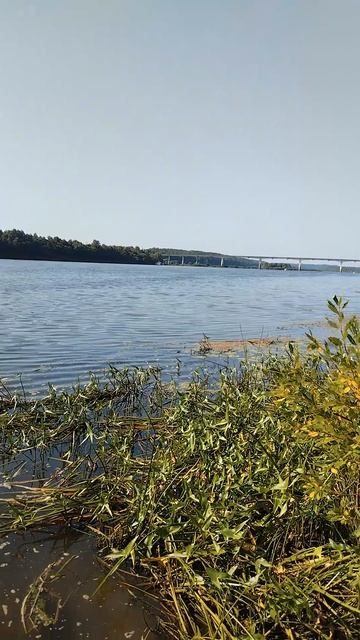 Мост, р Ока.