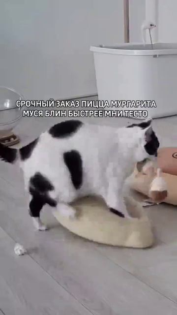 Мургарита